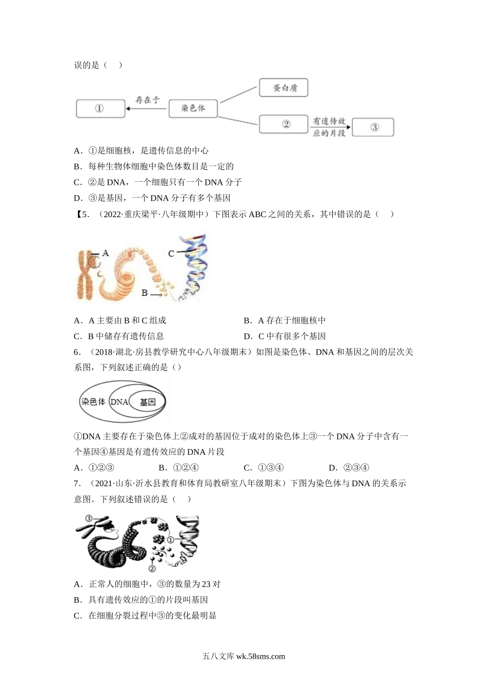 7.2.2 基因在亲子代间的传递-2022-2023学年八年级生物下学期课后培优分级练（人教版）（原卷版）_八年级下册生物.docx_第2页