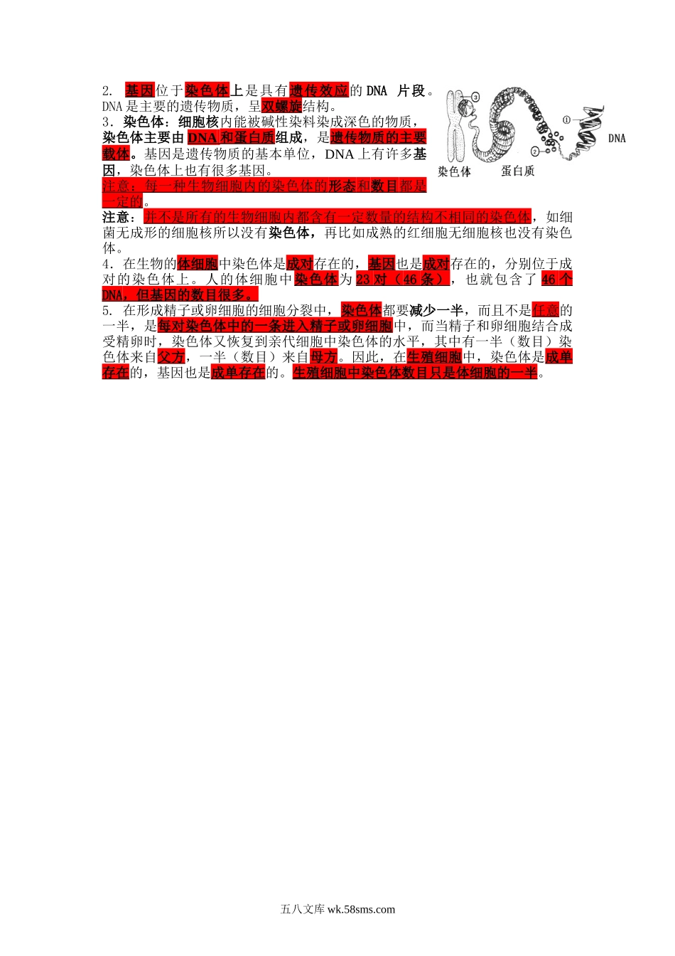 7.2.2 基因在亲子代间的传递-2022-2023学年八年级生物下学期课后培优分级练（人教版）（解析版）_八年级下册生物.docx_第2页