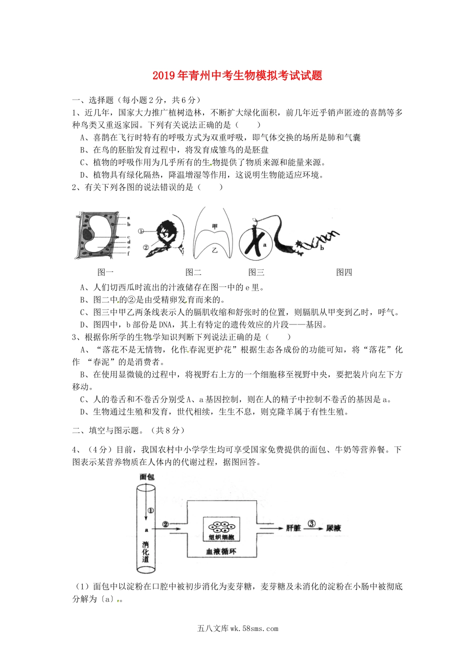 山东省青州市2019年中考生物模拟考试试题_八年级下册生物.docx_第1页