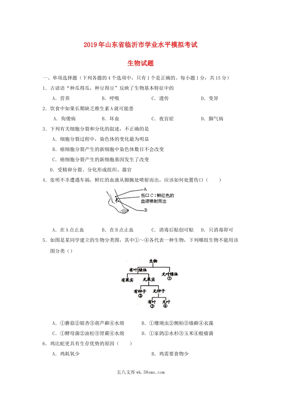 山东省临沂市2019年初中生物学业水平模拟考试_八年级下册生物.docx_第1页