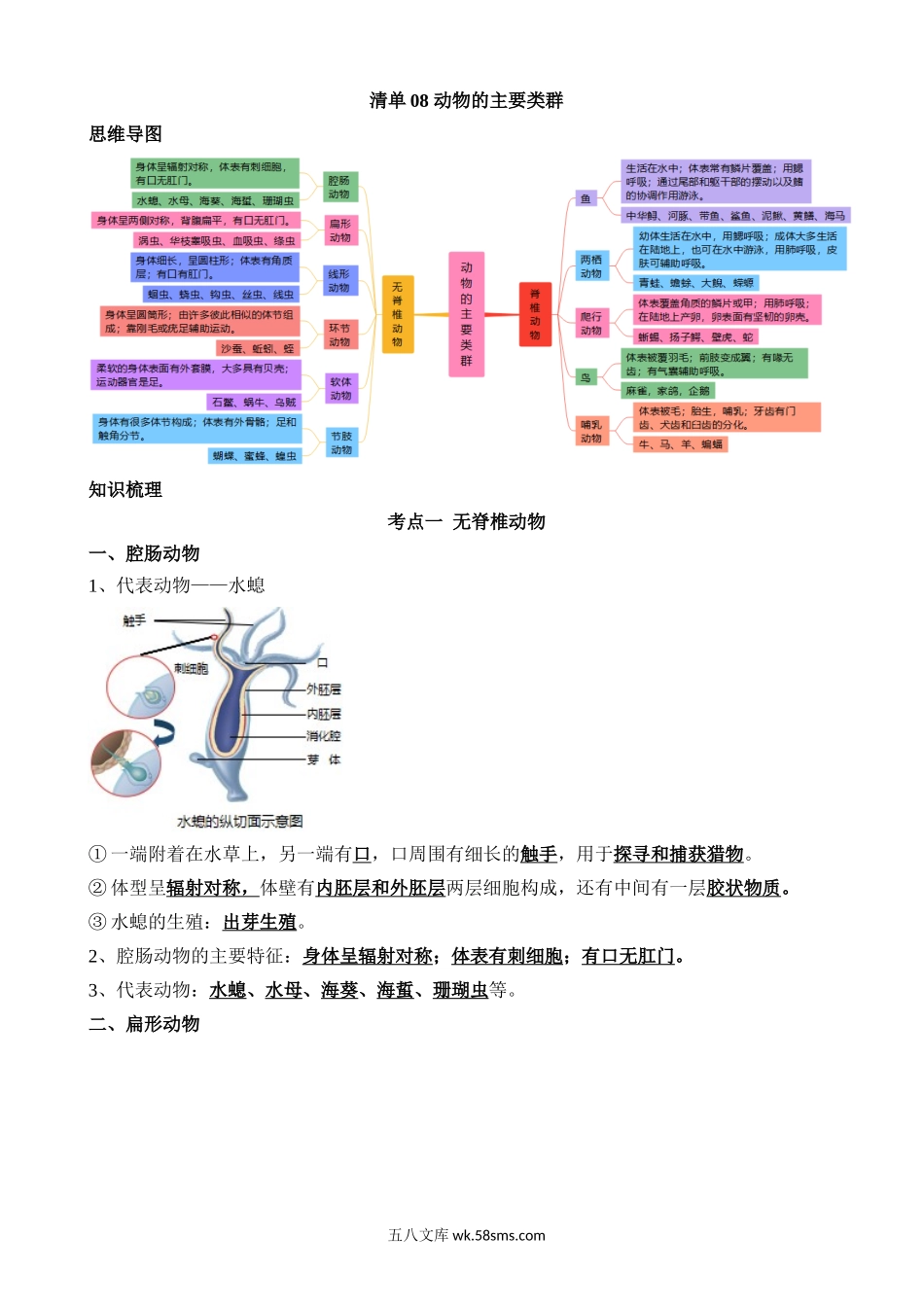 清单08 动物的主要类群（2大考点+3大高频命题点）_八年级下册生物.docx_第1页