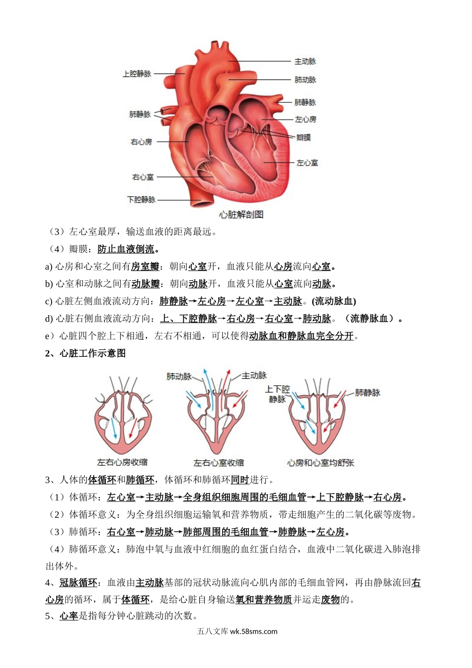 清单06 人体内的物质运输与废物排出（6大考点+6大高频命题点）_八年级下册生物.docx_第3页