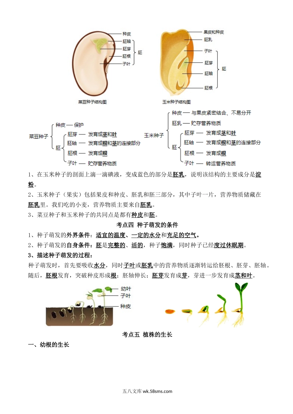 清单03 生物圈中有哪些绿色植物+被子植物的一生（6大考点+6大高频命题点）_八年级下册生物.docx_第2页