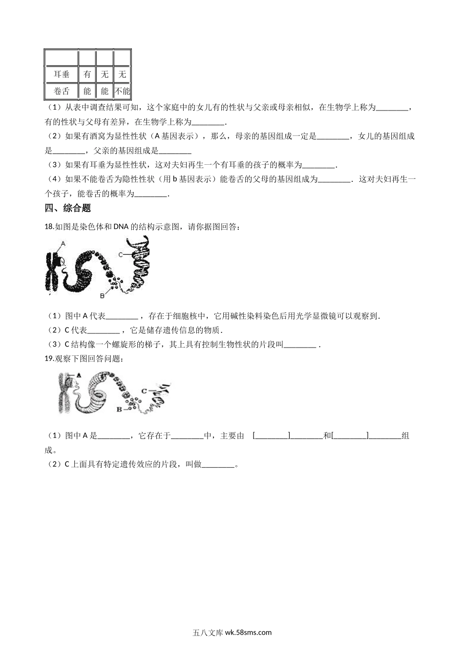 冀教版八下生物跟踪训练-6.2生物的遗传和变异（解析版）_八年级下册生物.docx_第3页