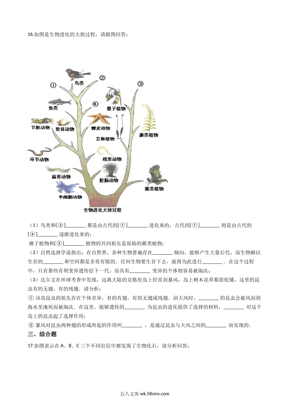 济南版八年级下册生物-5.1.2生物进化的证据-同步测试_八年级下册生物.docx_第3页