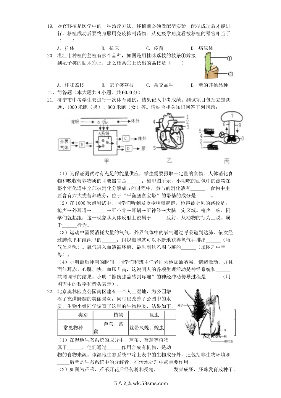 山东省济宁市2019年中考生物三模试卷（含解析）_八年级下册生物.docx_第3页