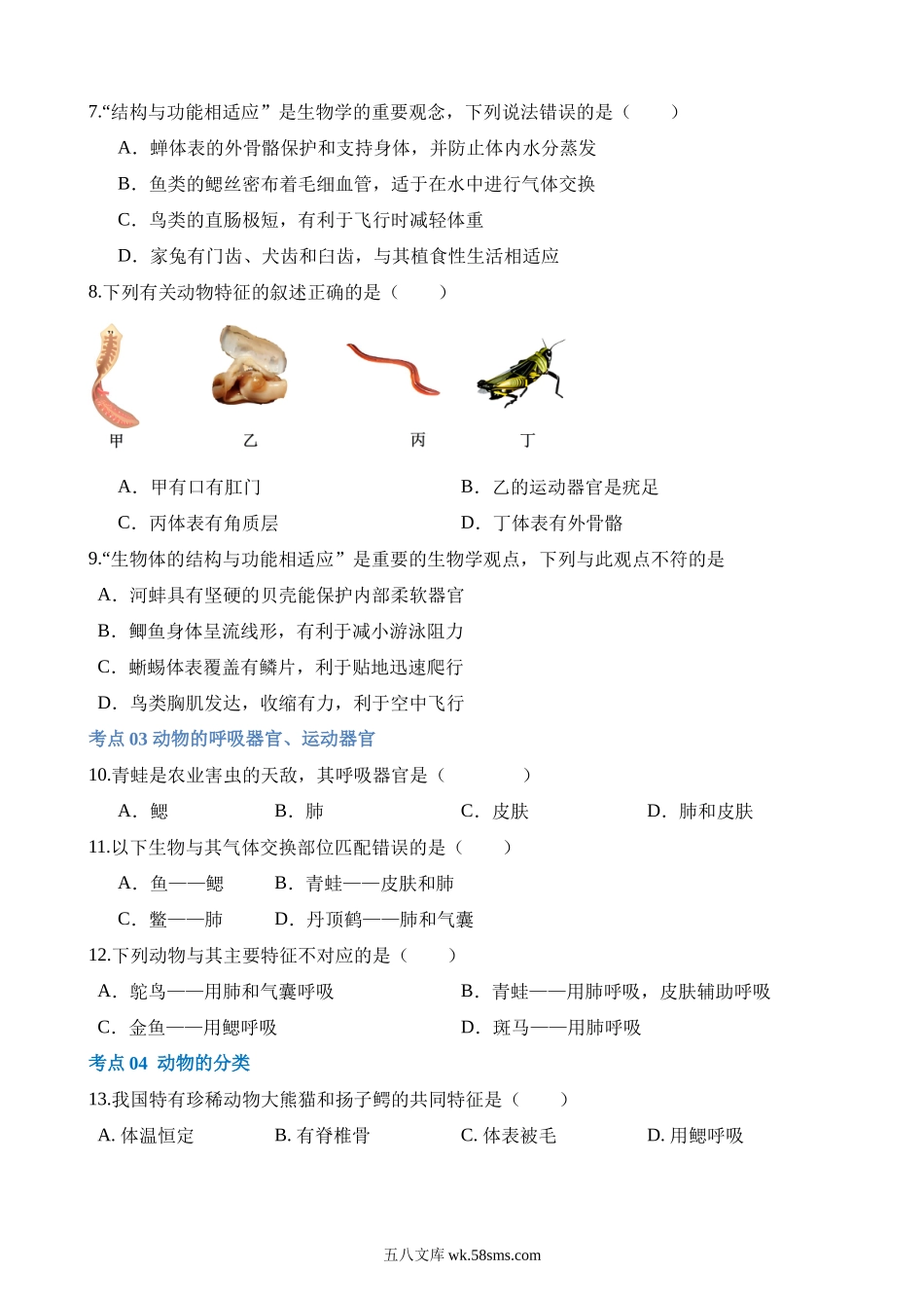 专题16 动物的主要类群（练习）_八年级下册生物.docx_第2页