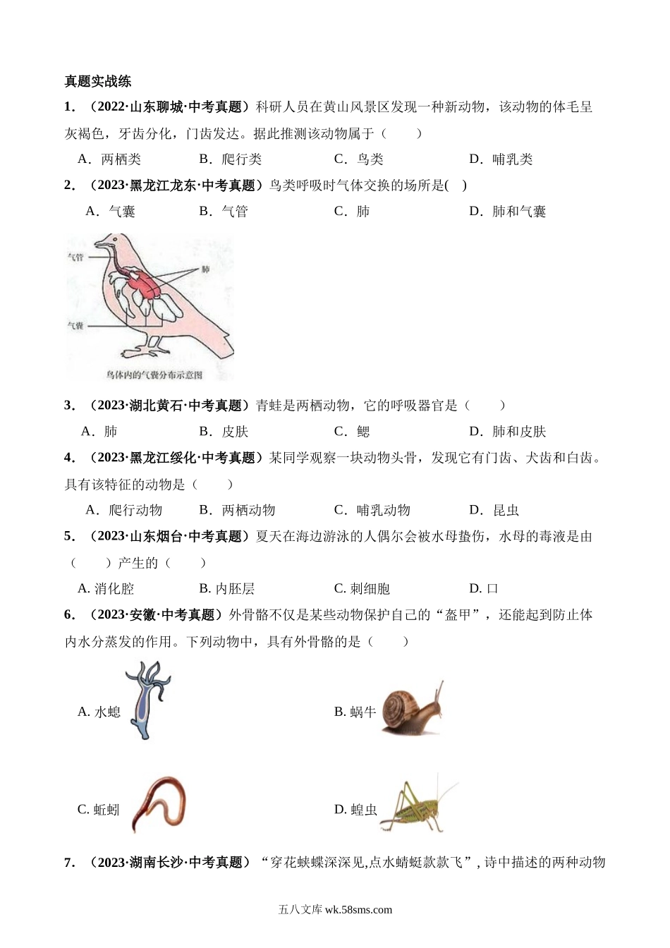 专题16 动物的主要类群（练习）_八年级下册生物.docx_第3页