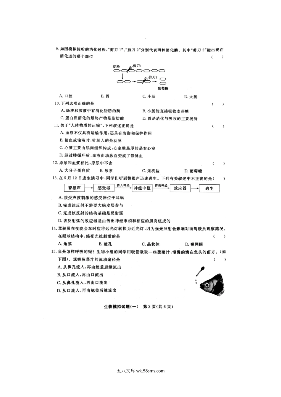 山东省东昌府区2019年初中生物第一次模拟考试试题（扫描版）_八年级下册生物.doc_第2页