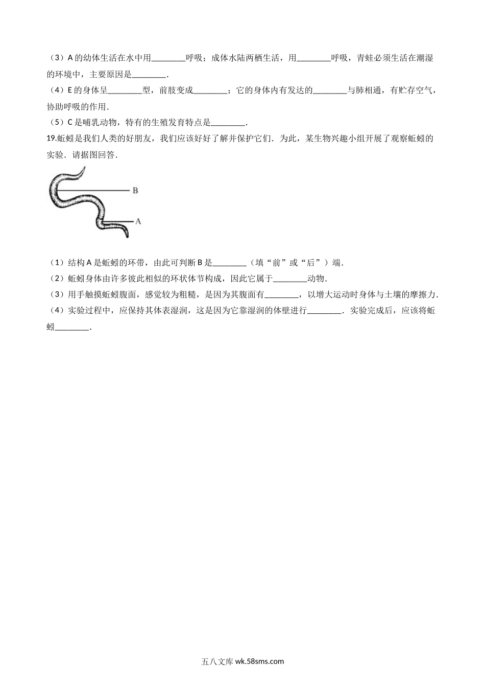 北师大版八年级下册生物当堂练习-22.4动物的主要类群_八年级下册生物.docx_第3页