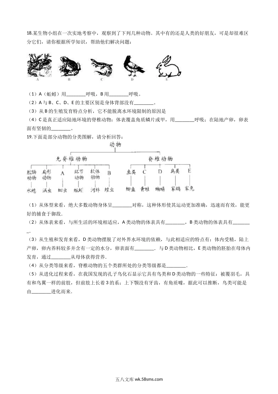 北师大版八年级下册生物当堂练习-22.1生物的分类_八年级下册生物.docx_第3页