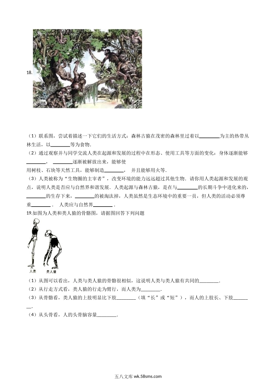 北师大版八年级下册生物当堂练习-21.3人类的起源与进化_八年级下册生物.docx_第3页