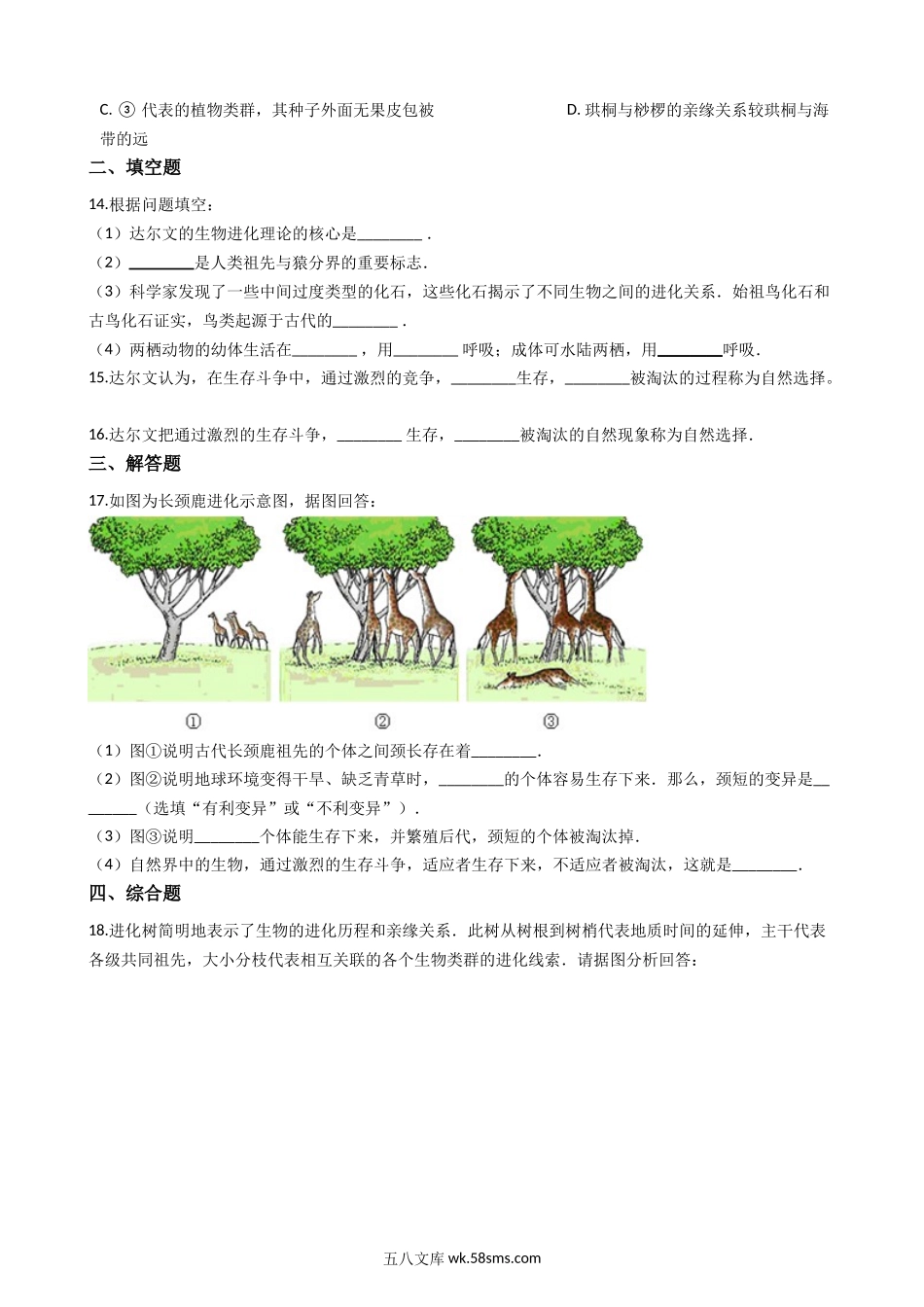 北师大版八年级下册生物当堂练习-21.2生物的进化_八年级下册生物.docx_第3页