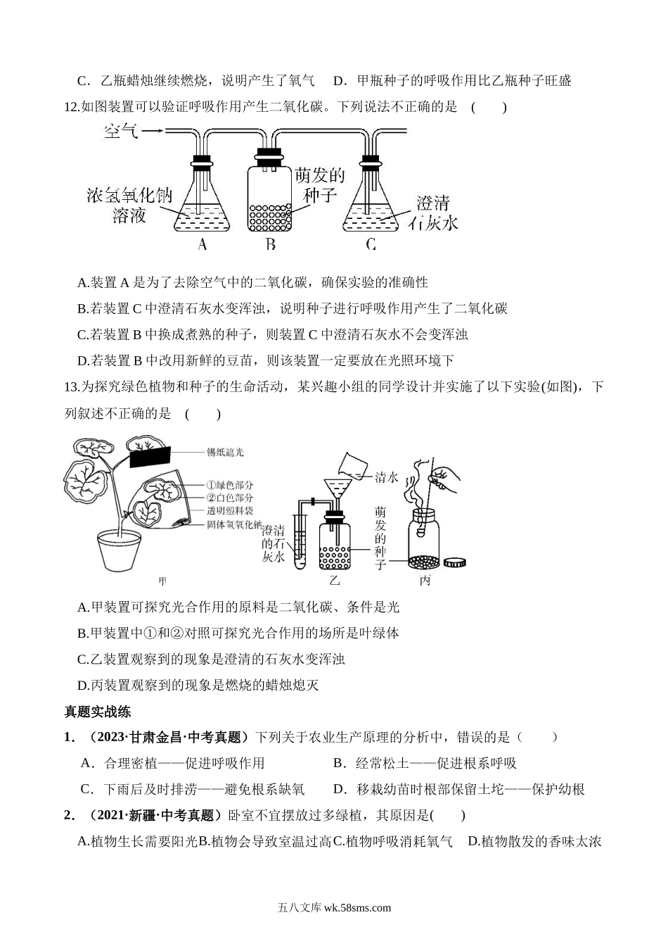 专题08 绿色植物的呼吸作用（练习）_八年级下册生物.docx_第3页