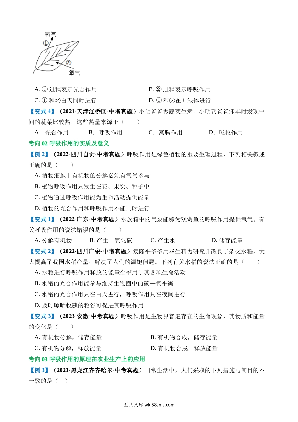 专题08 绿色植物的呼吸作用（讲义）_八年级下册生物.docx_第3页