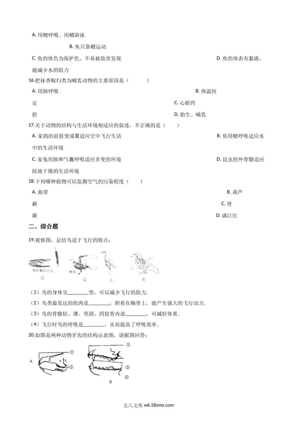 北师大版生物八年级下册-第22章-物种的多样性-单元测试题_八年级下册生物.doc_第3页