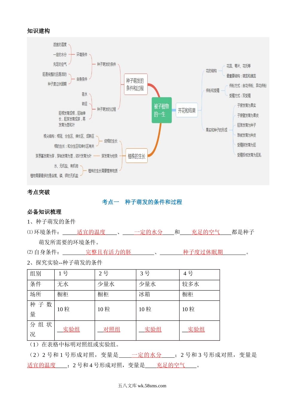 专题05 被子植物的一生（讲义）_八年级下册生物.docx_第2页