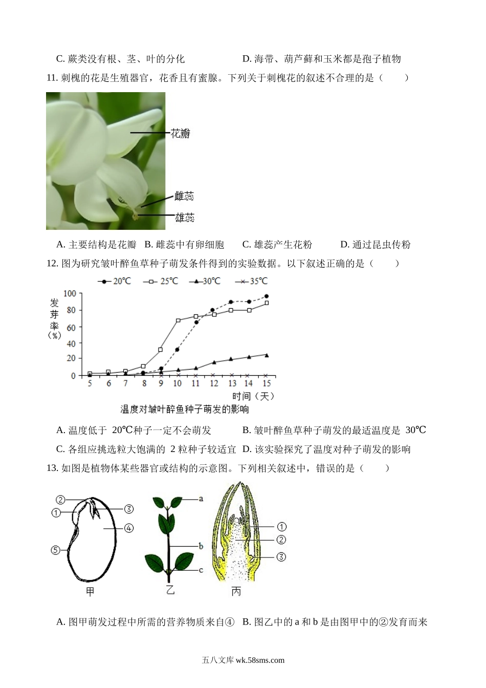 测试03 生物圈中的绿色植物_八年级下册生物.docx_第2页