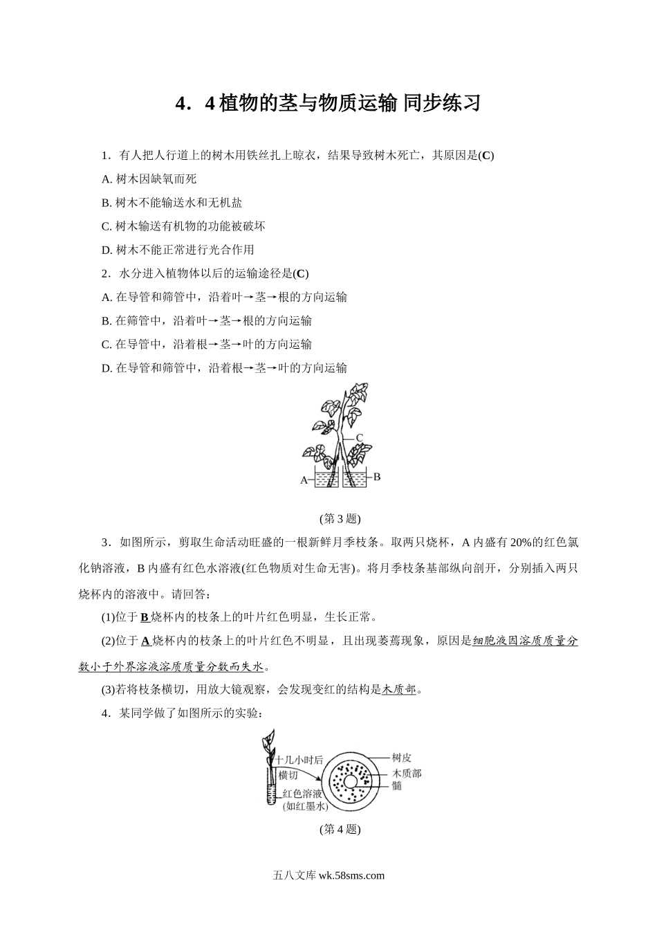 4.4植物的茎与物质运输-同步练习_八年级科学下册.doc_第1页