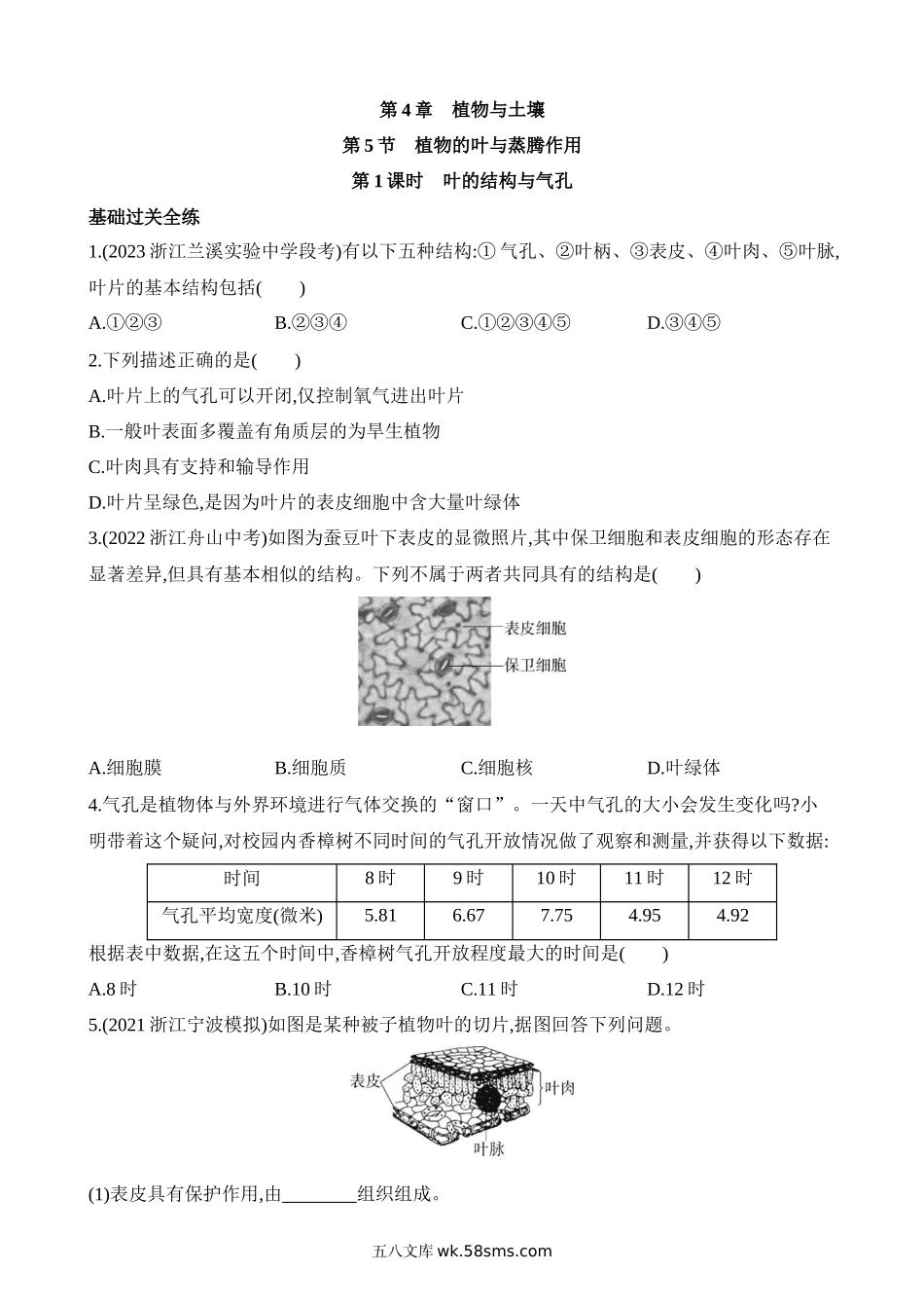 4.5.1 叶的结构与气孔 同步练习_八年级科学下册.docx_第1页