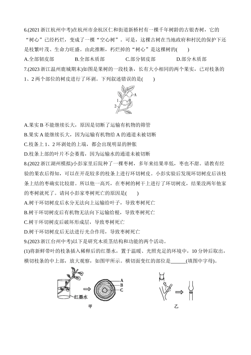 4.4.2 茎对物质的运输 同步练习_八年级科学下册.docx_第2页