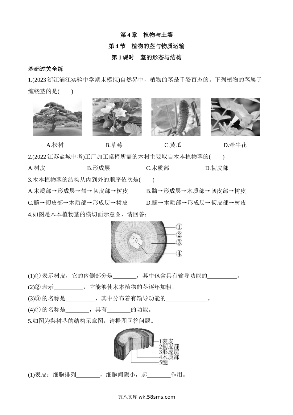 4.4.1 茎的形态与结构 同步练习_八年级科学下册.docx_第1页