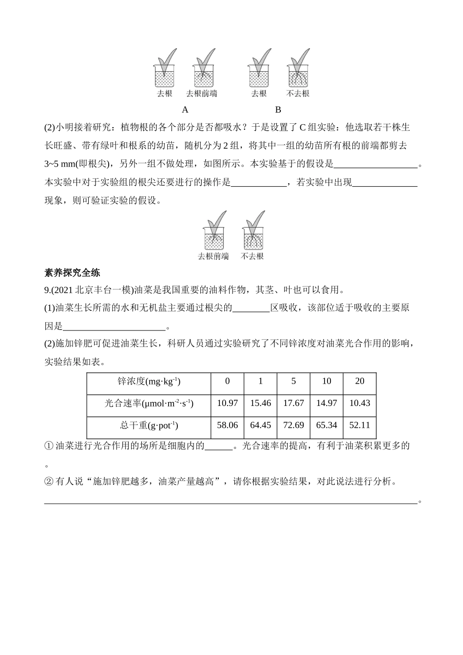 4.3.1 根的形态与结构 同步练习_八年级科学下册.docx_第3页