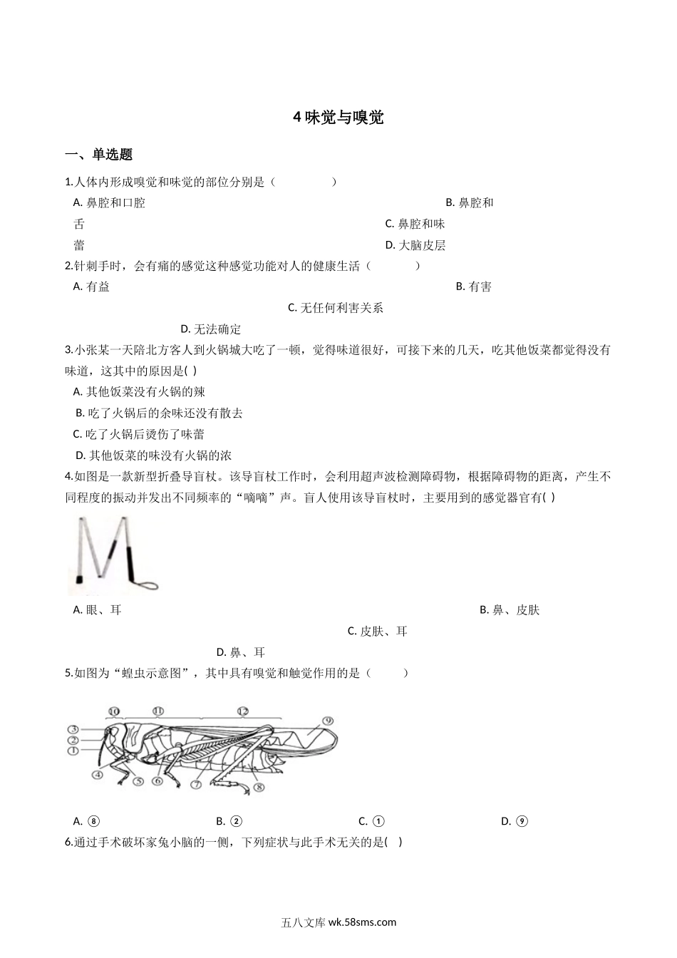 华东师大版科学八年级下册3.4-味觉与嗅觉_八年级科学下册.docx_第1页