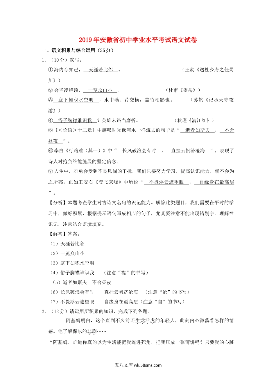 安徽省2019年中考语文真题试题（含解析）_九年级下册.doc_第1页