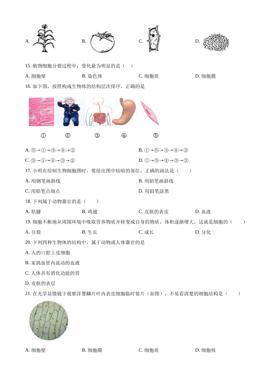 精品解析：七年级生物济南版上册 单元测试题 第1单元第2章观察生物结构（原卷版）.docx_第3页