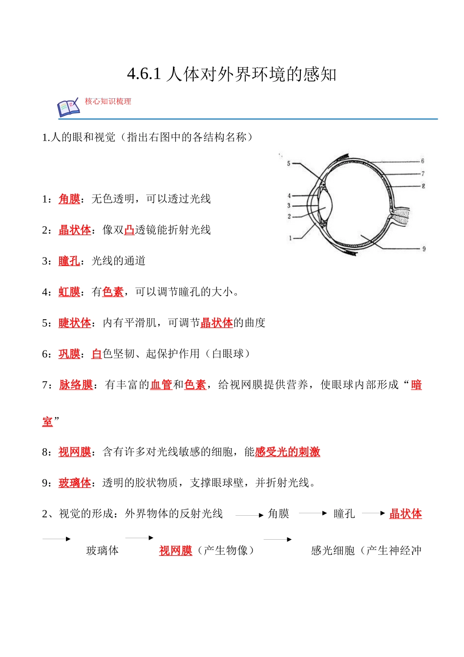 4.6.1 人体对外界环境的感知-2022-2023学年七年级生物下册课后培优分级练（人教版）（解析版）.docx_第1页