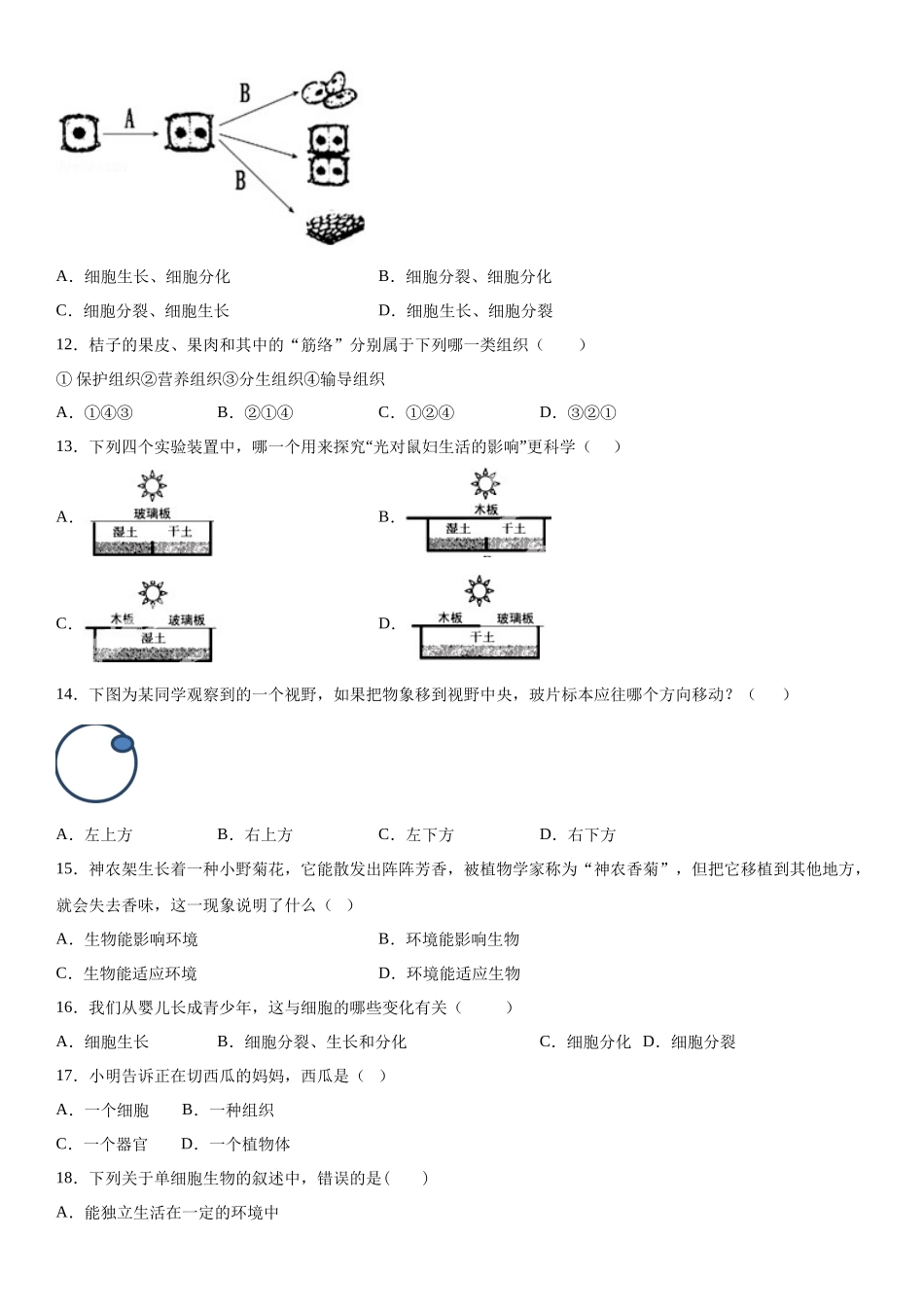 06.月考生物试题_七年级上册.docx_第3页