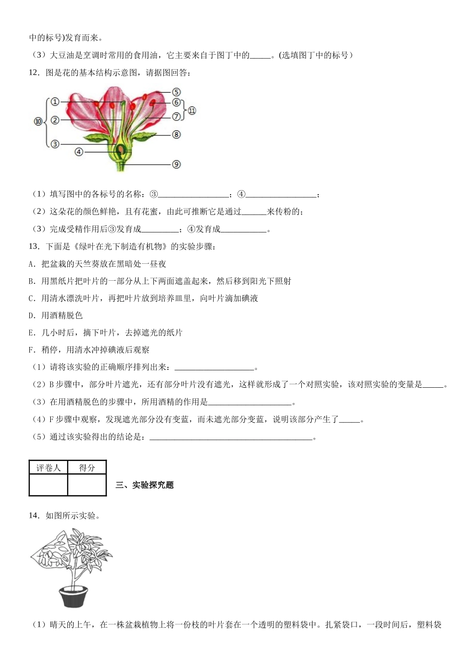 05.月考生物试题_七年级上册.docx_第3页