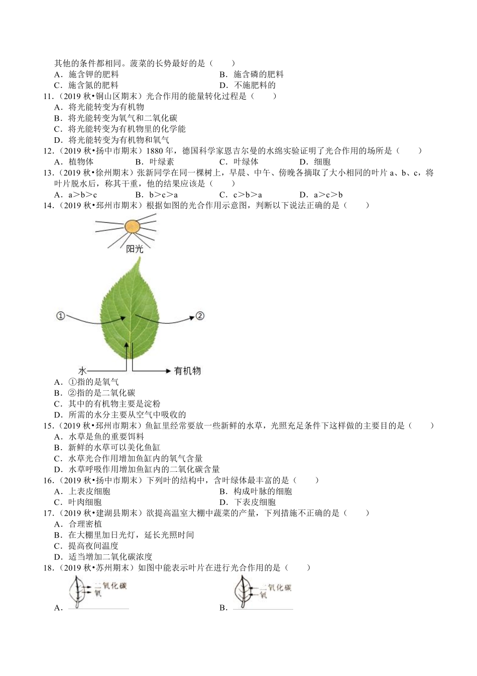 苏科版七年级生物上册期末专题复习：第4章《绿色植物是有机物的生产者》试题精选.pdf_第2页