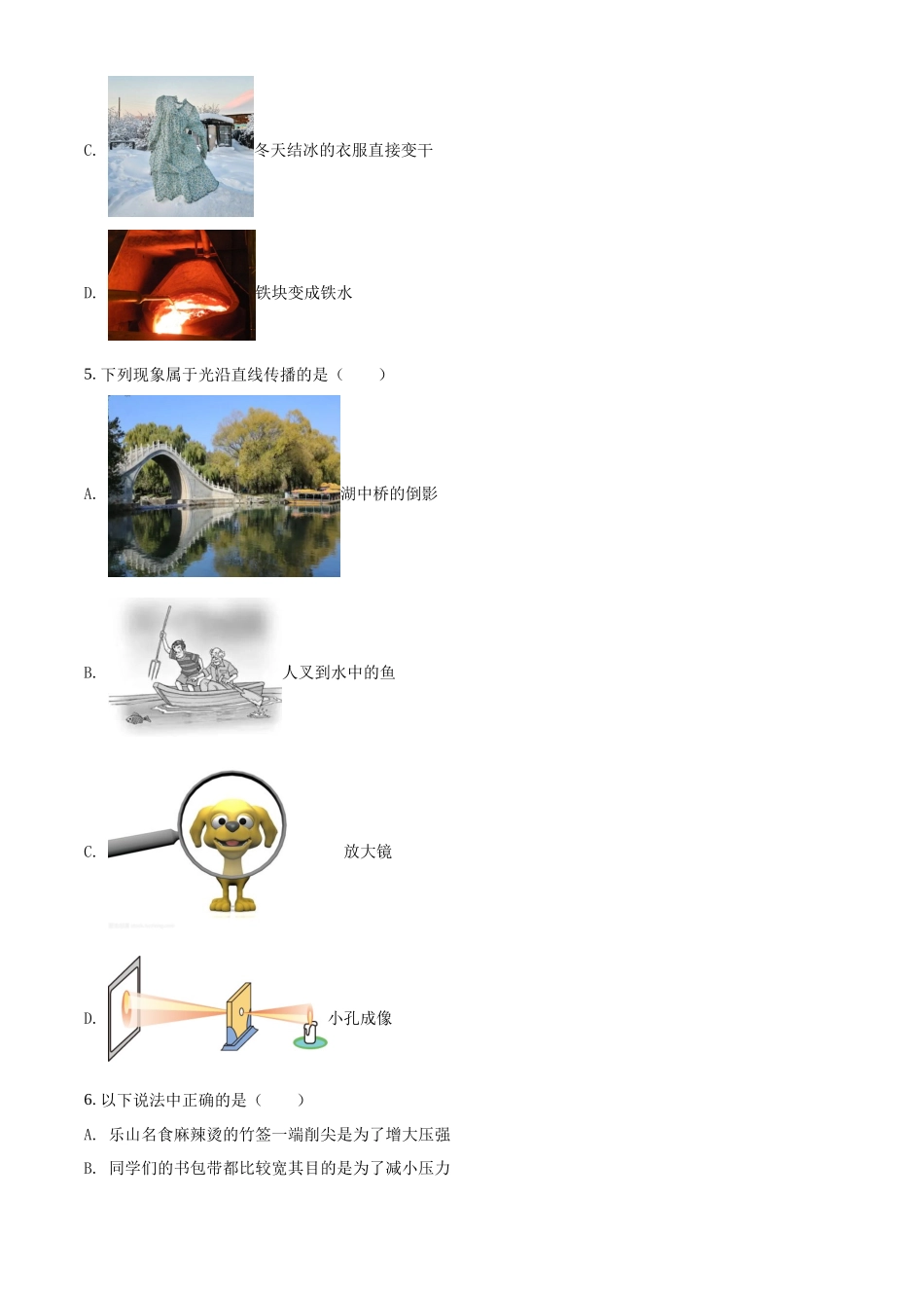 精品解析：2022年四川省乐山市中考物理试题（原卷版）_九年级下册.docx_第2页