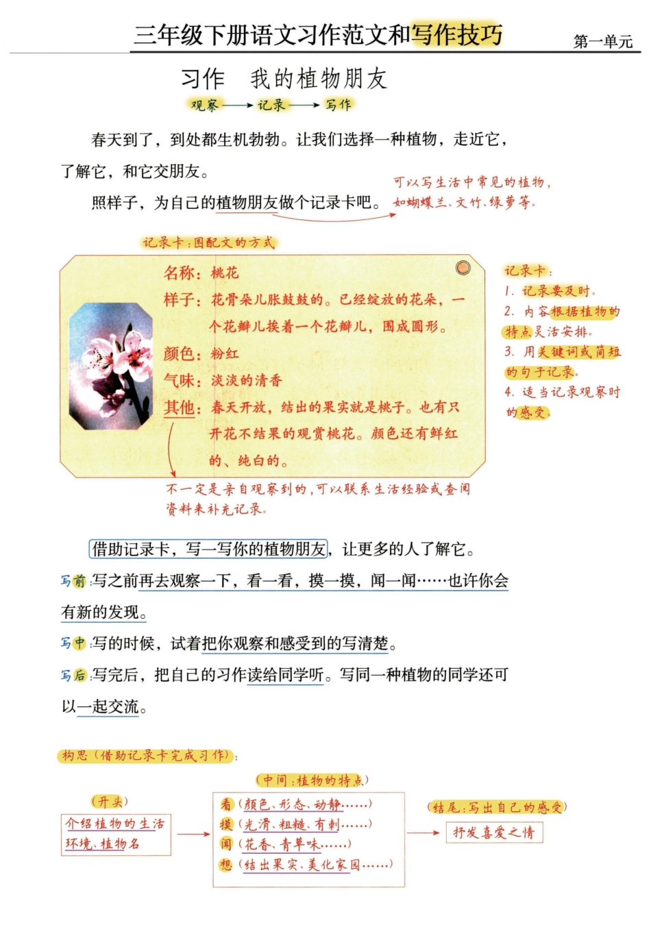 小学三年级下册三年级下册语文《习作范文及技巧点拨》(1).pdf_第1页