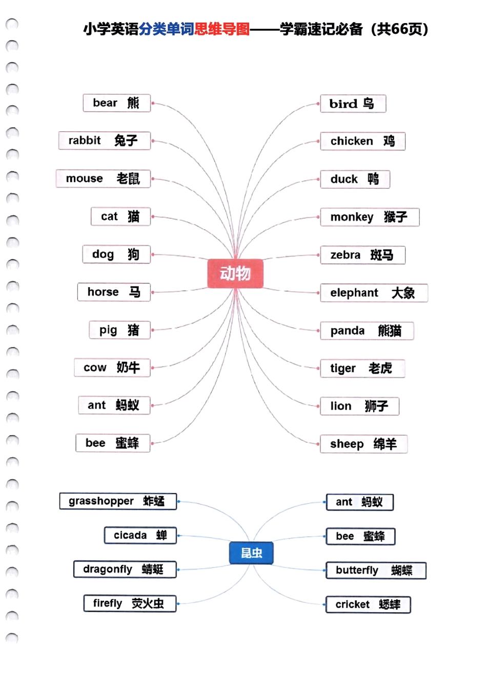 小学三年级下册小学英语分类单词《思维导图》—学霸速记必备66页全.pdf_第3页