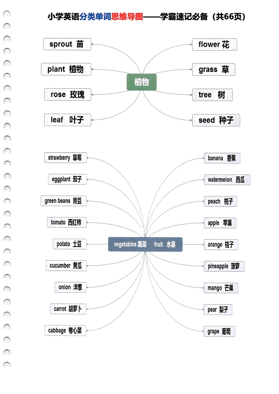 小学四年级下册小学英语分类单词《思维导图》—学霸速记必备66页全.pdf_第1页