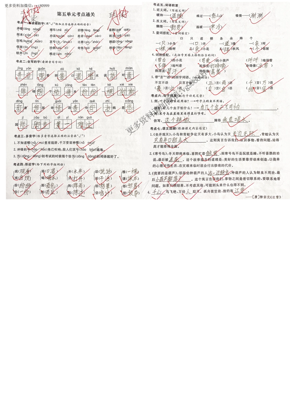 小学二年级上册11.9【考点通关】第5单元.pdf_第3页