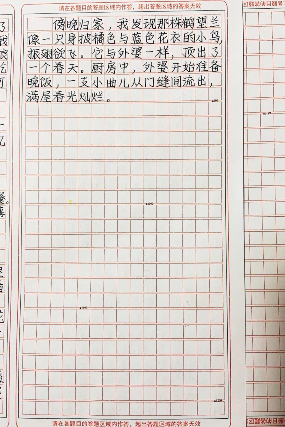 被这篇文章打动了《顶出一个春天》作文.pdf_第3页