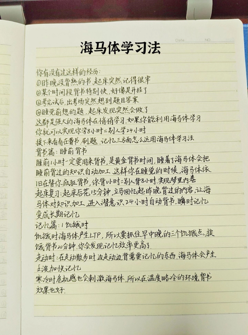 方法不对努力白费，不愧是央视强推的海马体学习法！海马体.pdf_第1页