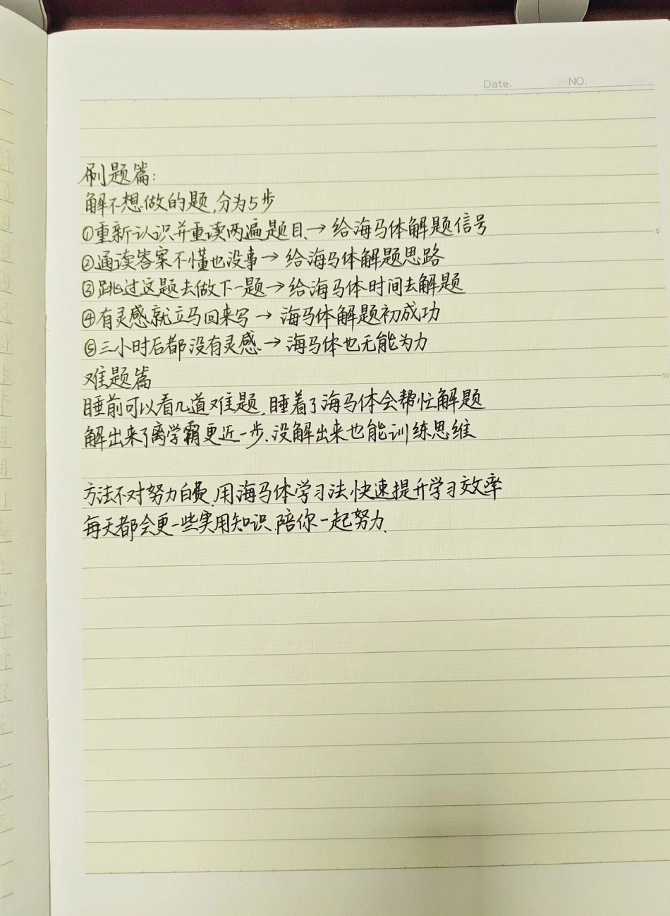 方法不对努力白费，不愧是央视强推的海马体学习法！海马体.pdf_第2页