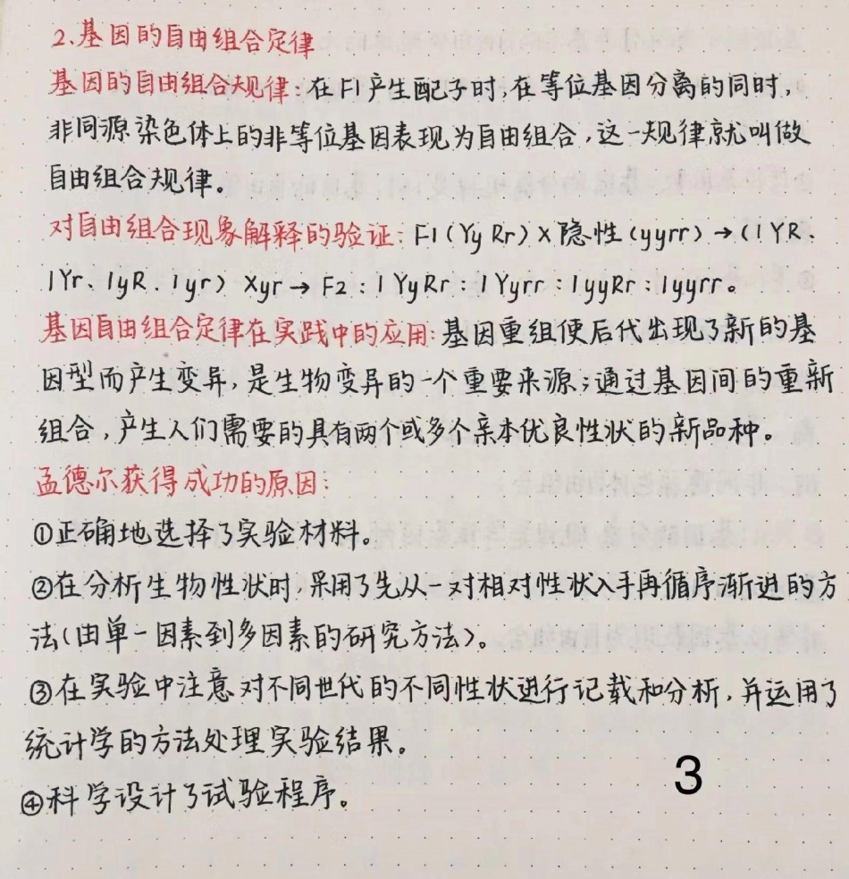 高中生物遗传知识总结，这部分知识比较重要，要牢记高中生物 生物.pdf_第3页