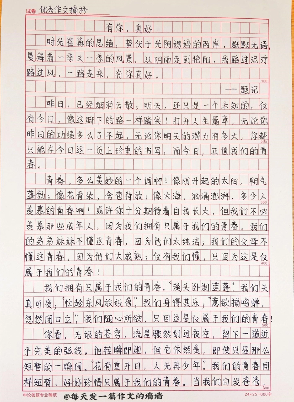 关于青春的作文《有你，真好》附带可以用来写作文的绝佳素材作文 作文素材.pdf_第1页