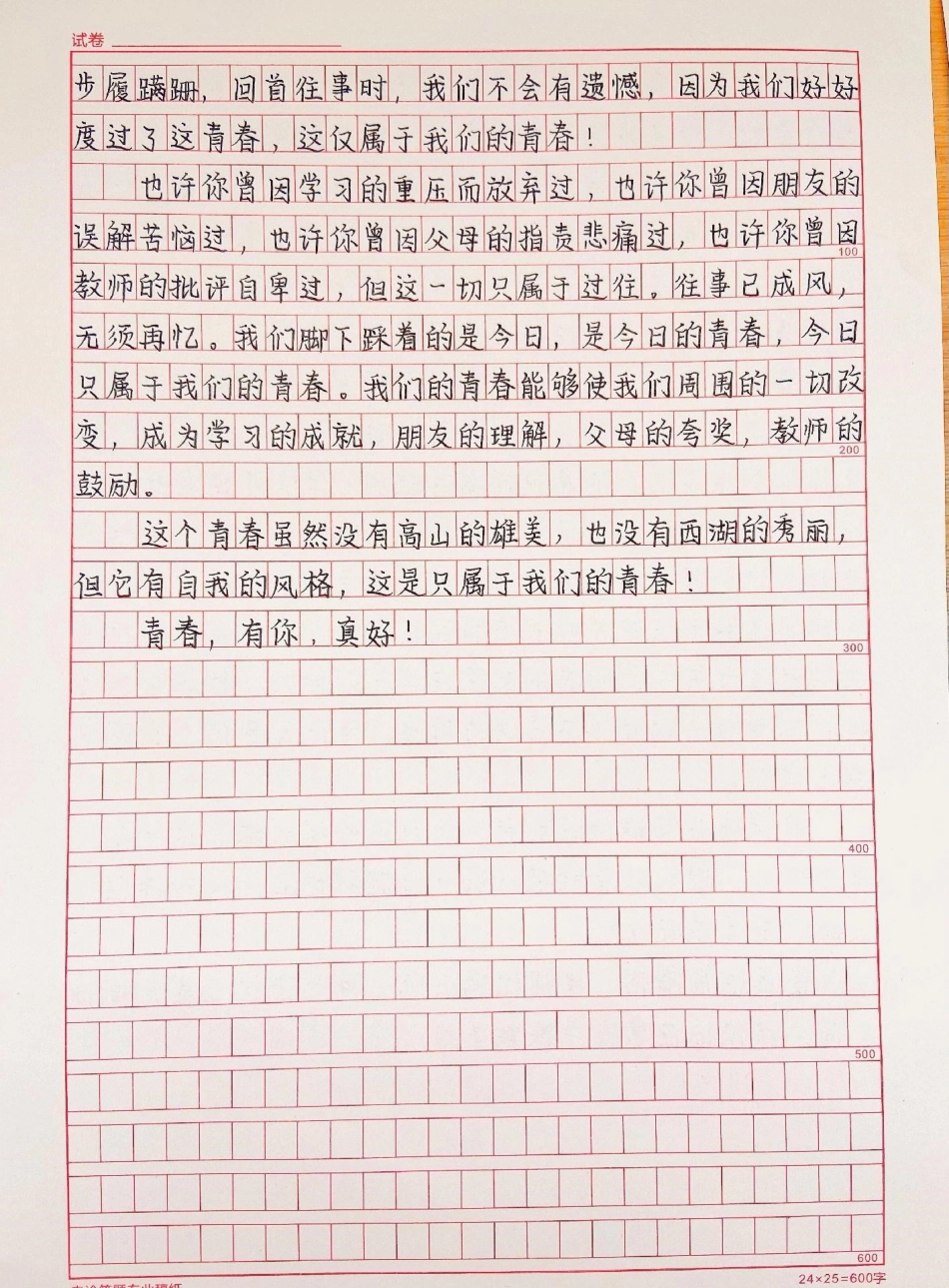 关于青春的作文《有你，真好》附带可以用来写作文的绝佳素材作文 作文素材.pdf_第2页