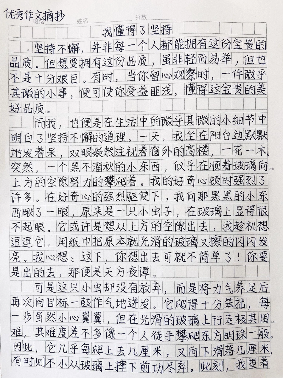 励志作文《我懂得了坚持》因为坚持不懈，我逐渐变得更加健康快乐、优秀了。坚持不懈，或许可以改变一个人的人生励志.pdf_第1页