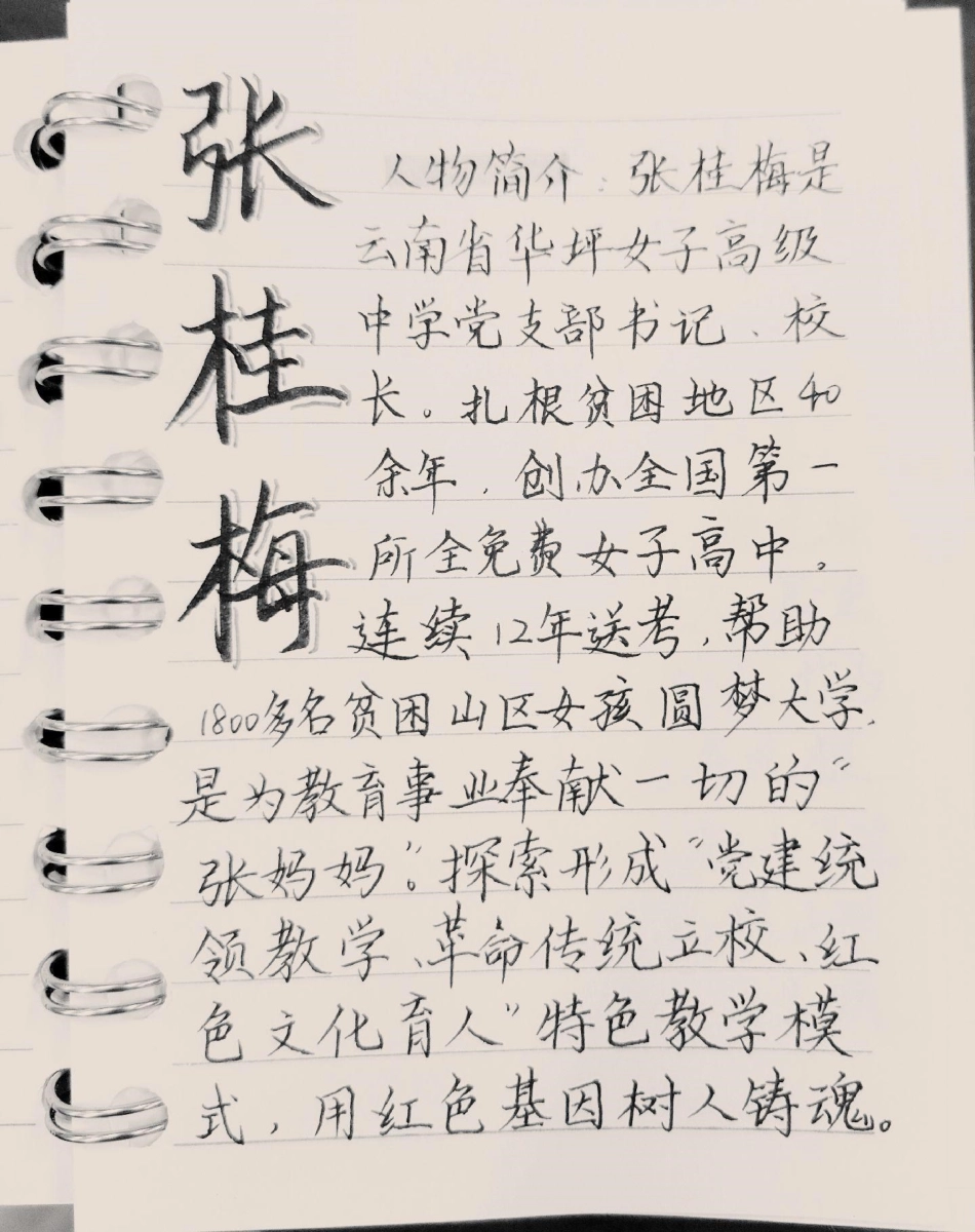 每天一个高分作文人物素材——张桂梅作文 作文素材 素材分享.pdf_第1页
