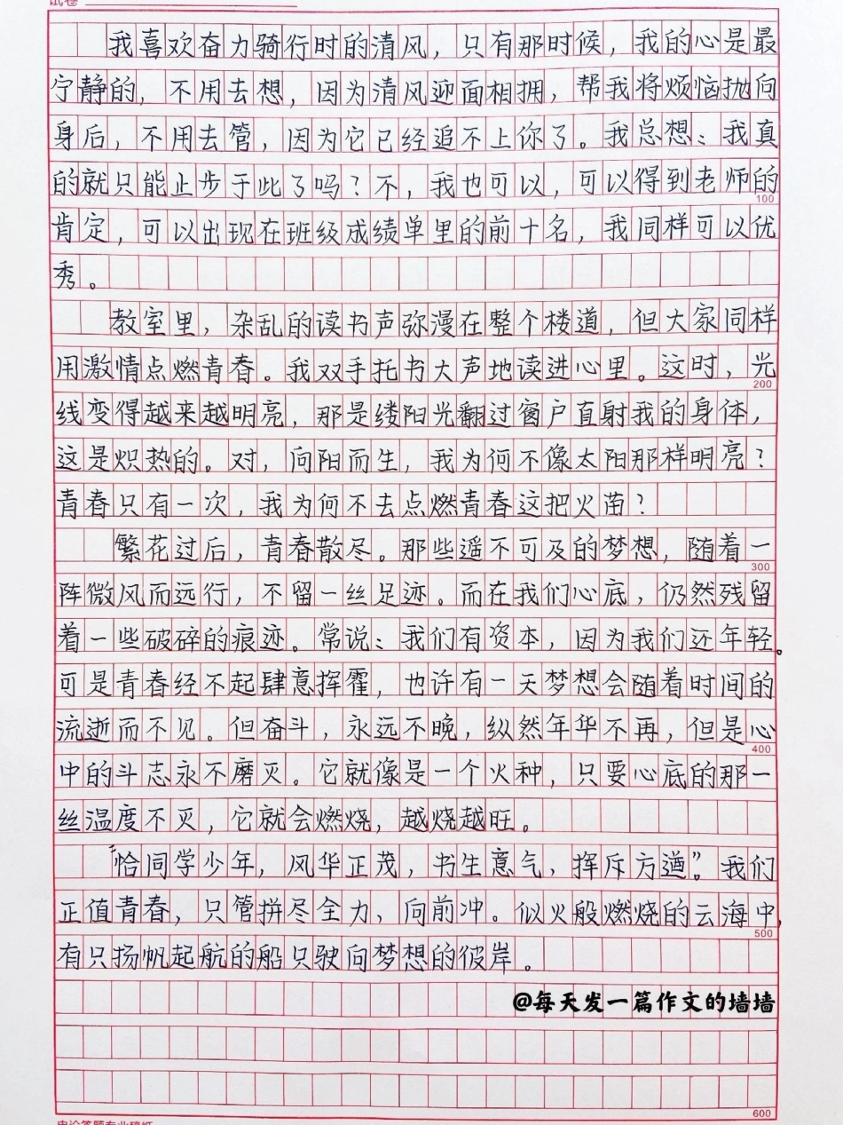 你怕什么呢？往前冲才是青春，向阳盛开才是我们作文 青春.pdf_第2页