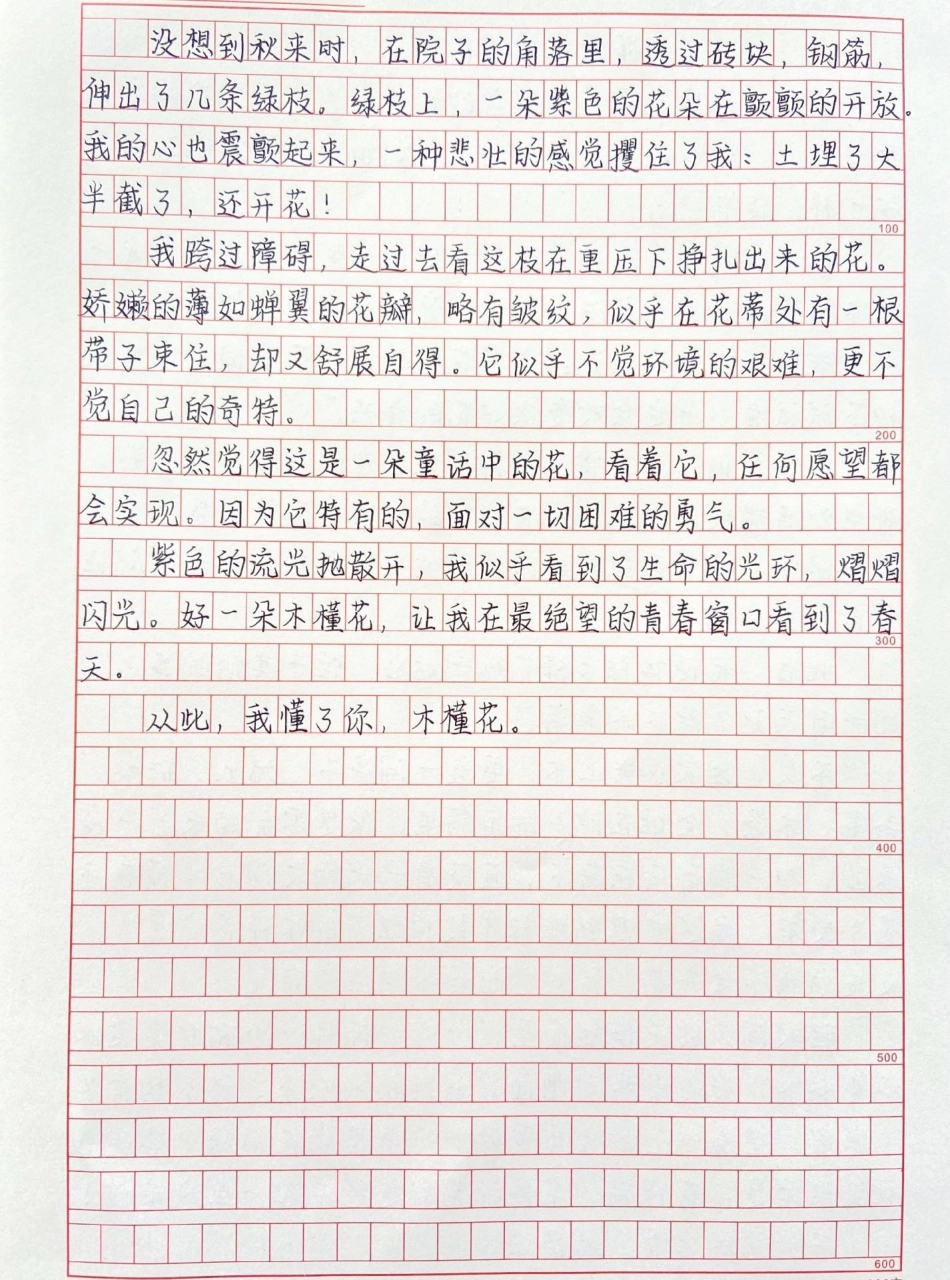 优秀作文《懂你，木槿花》附带可以写进作文的好句素材作文 作文素材.pdf_第2页