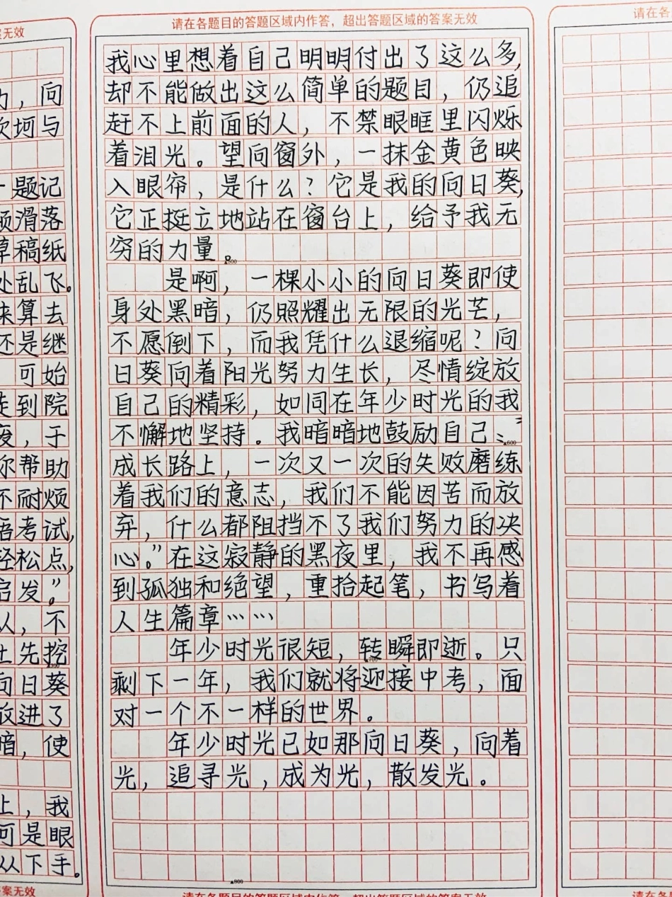 优秀作文《年少时光》年少时光只有不停地努力，向这阳光一路进发，才能越过坎坷与挫折，扬帆起航作文.pdf_第3页